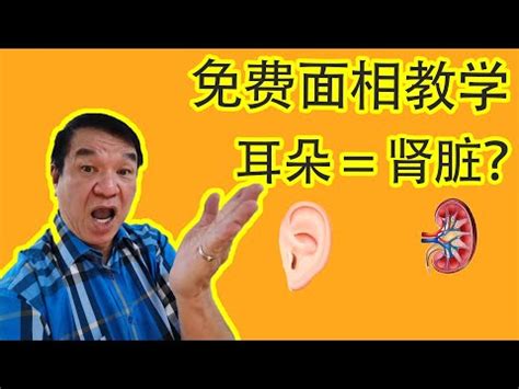 耳朵運勢|【耳朵面相】揭密耳朵面相：從耳朵形狀解析你的性格。